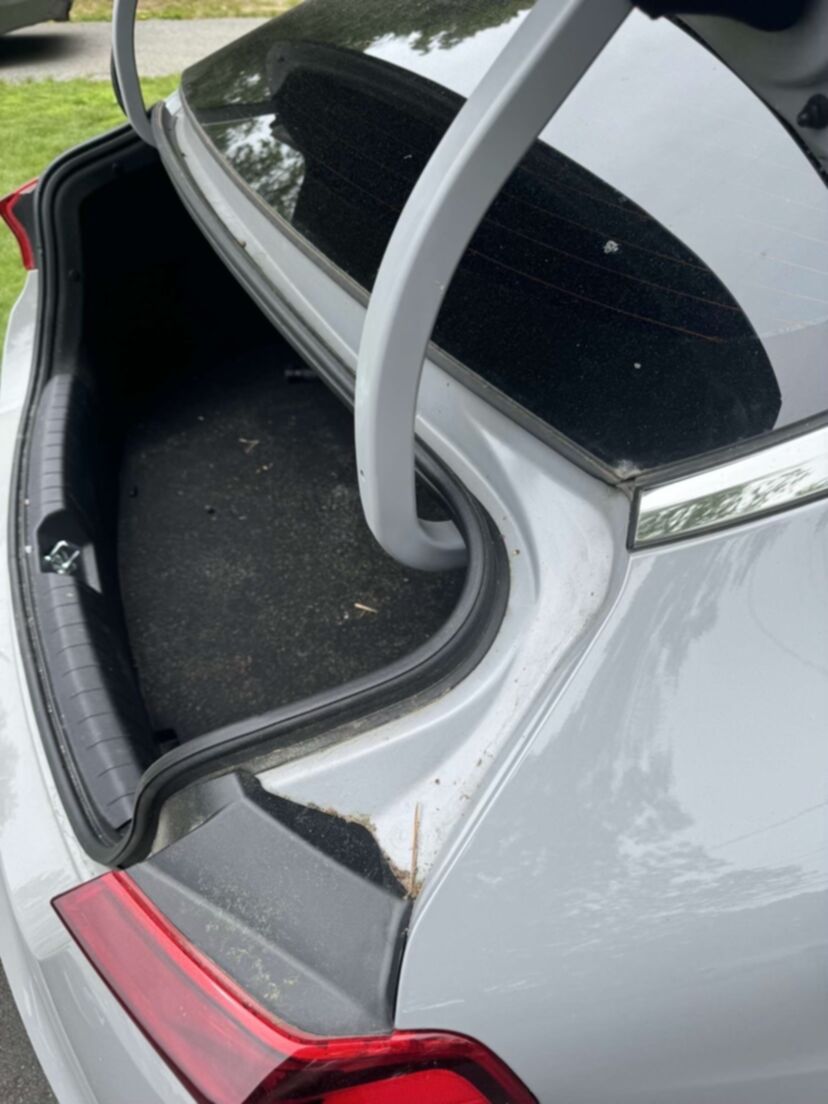 Trunk Before